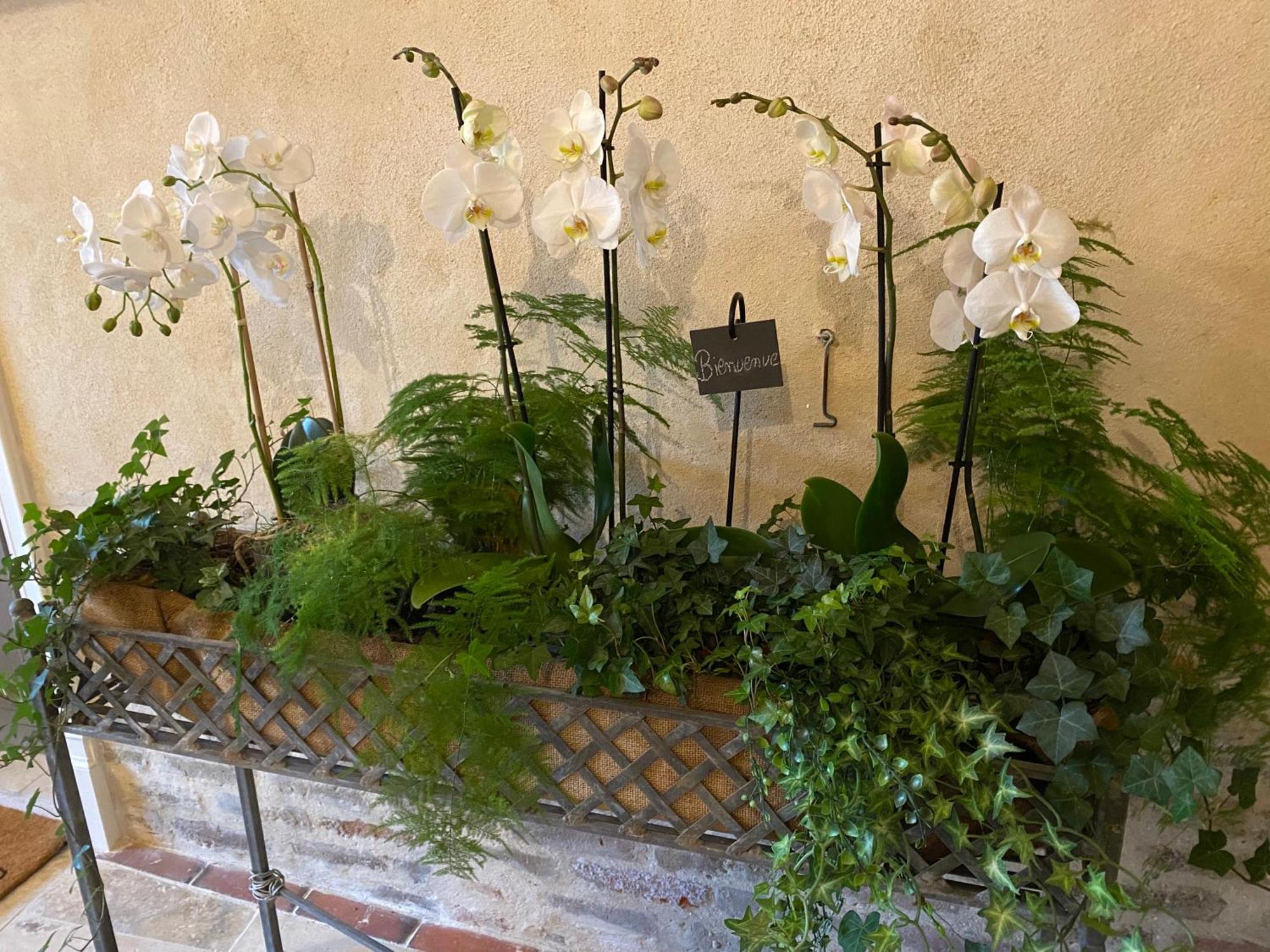 Les Hortensias Canly Kültér fotó