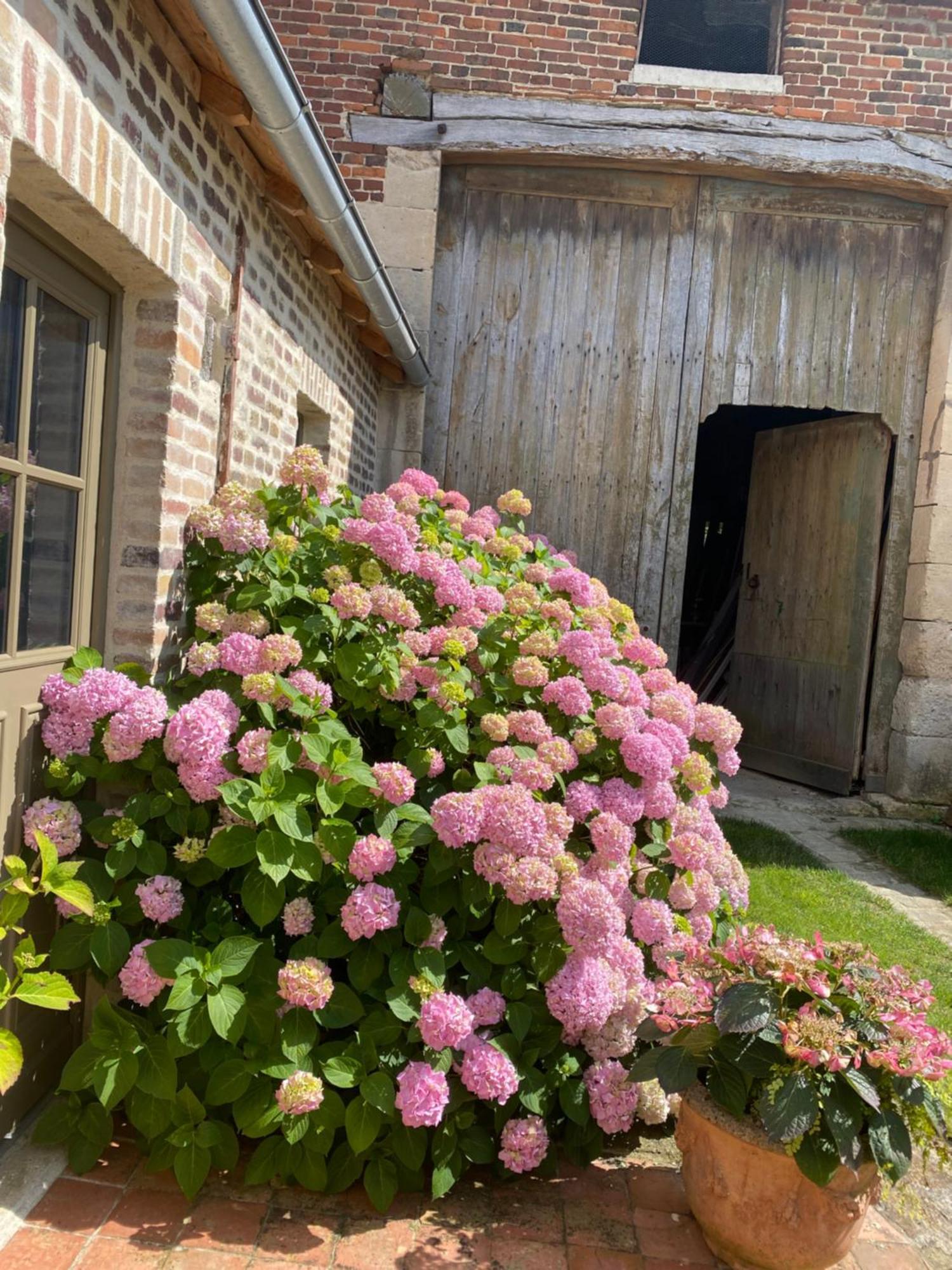 Les Hortensias Canly Kültér fotó